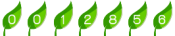blog visitor counter